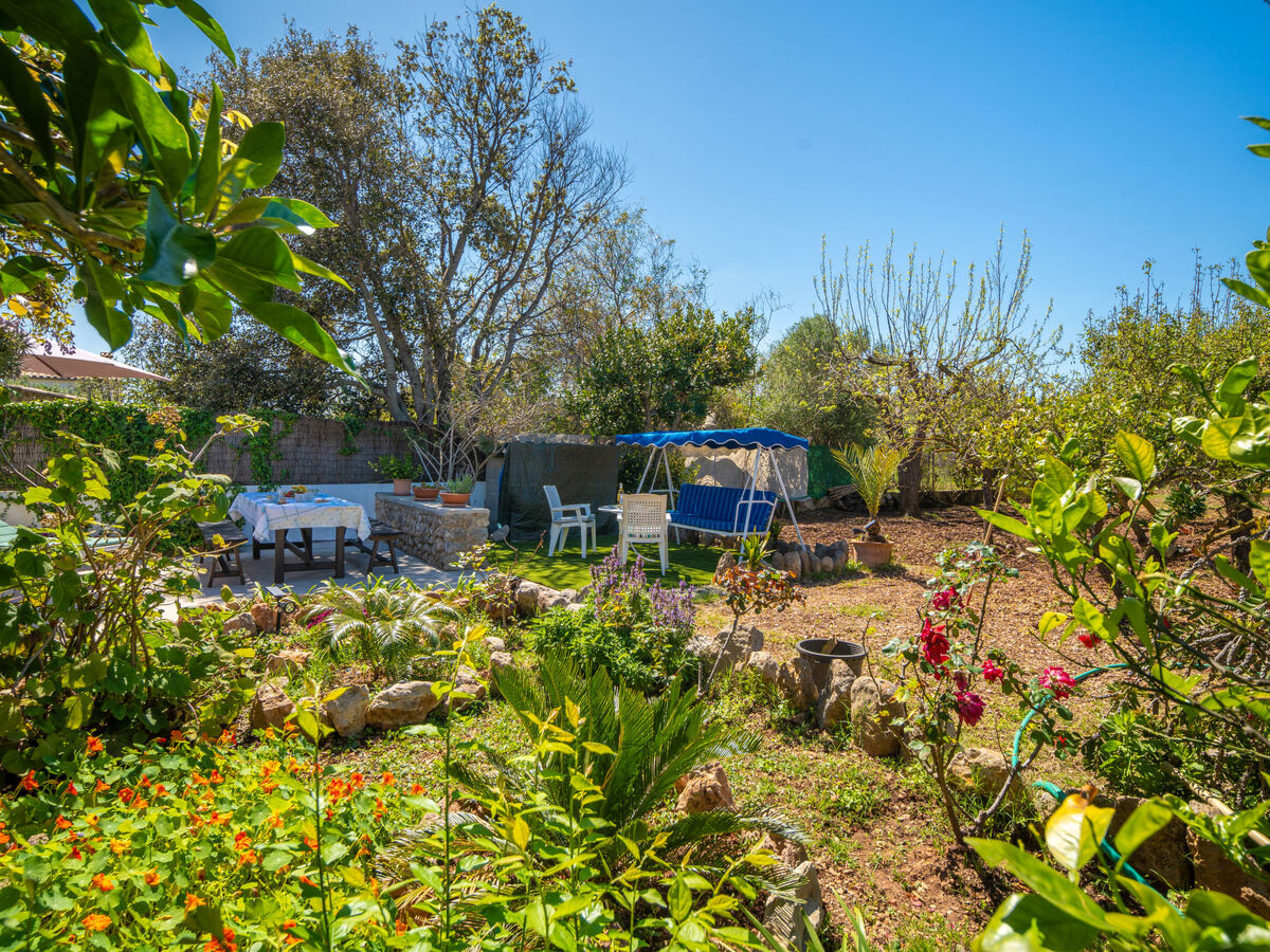 Can Niu, maison rustique rénovée à Pollença - Photo 22