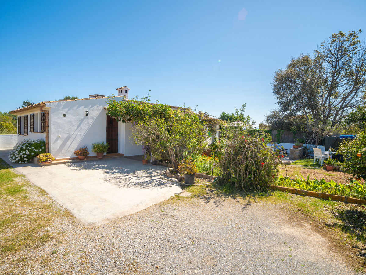 Can Niu, maison rustique rénovée à Pollença - Photo 23