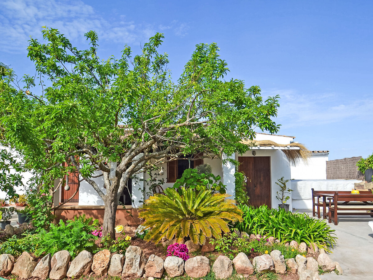 Can Niu, maison rustique rénovée à Pollença - Photo 28
