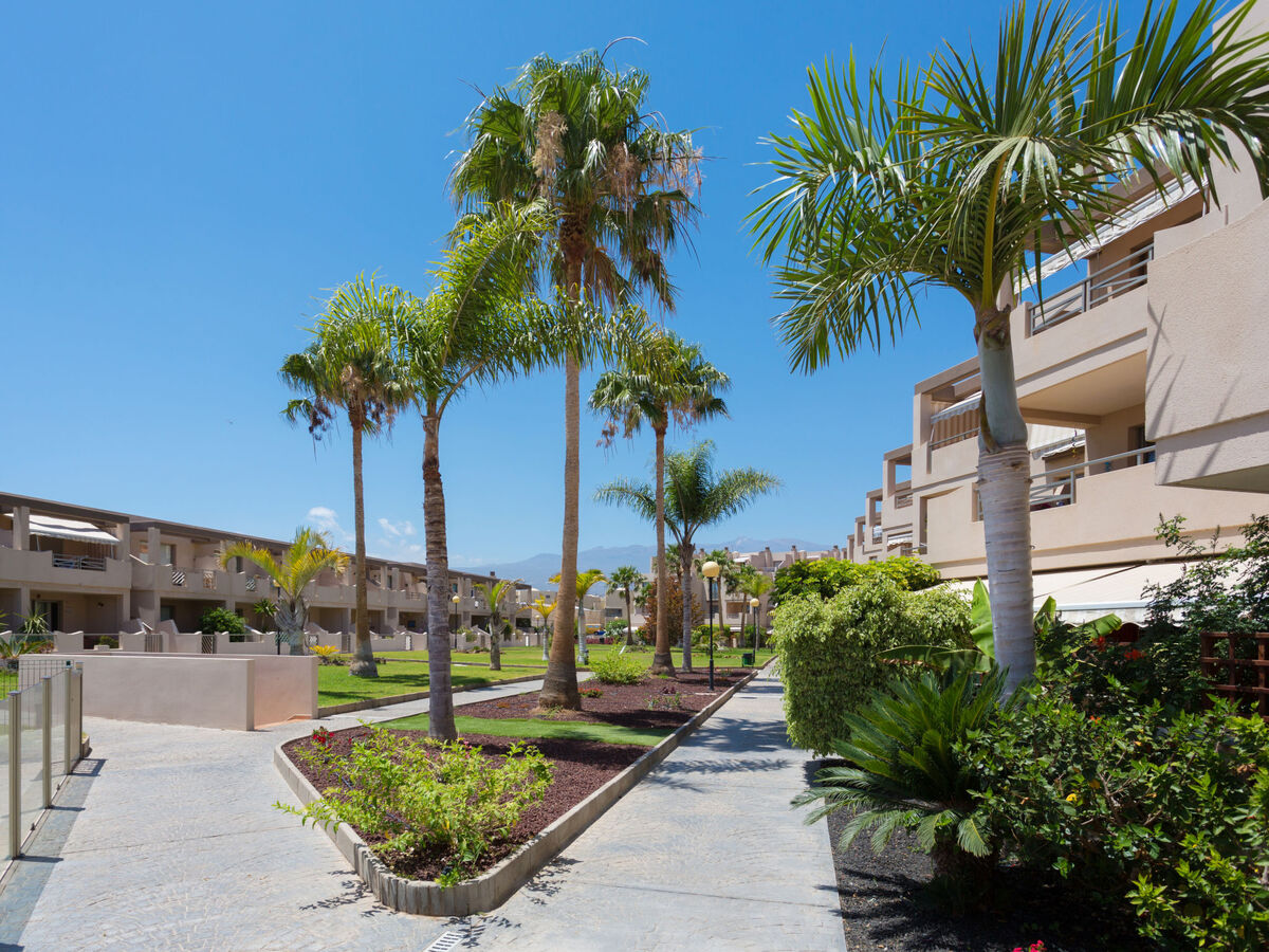 Appartement La Tejita avec vue mer, 50 m plage - Photo 23