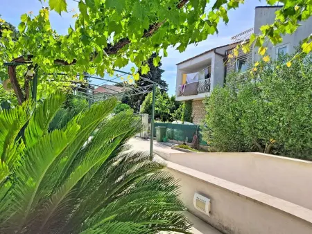 Bila Vila, Maison 8 personnes à Zadar - Photo 37