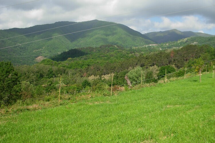 Argilla 6 – Maison Toscane avec Étang de Baignade - Photo 27