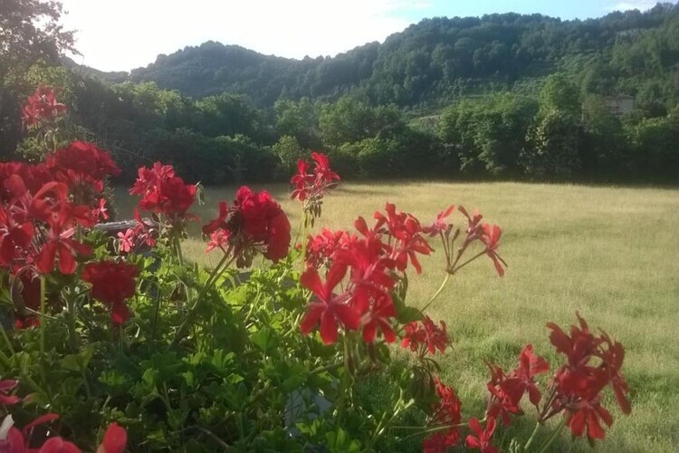 Argilla 6 – Maison Toscane avec Étang de Baignade - Photo 32