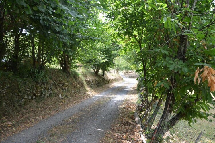 Argilla 6 – Maison Toscane avec Étang de Baignade - Photo 33