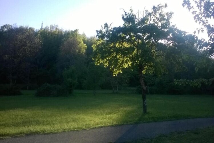 Argilla 6 – Maison Toscane avec Étang de Baignade - Photo 34