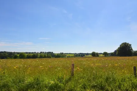 La maison de la Warche, Retraite de groupe à Robertville - Photo 39
