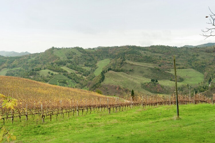 Maison Yassine en Romagne : 4 pers., nature et vignobles - Photo 5