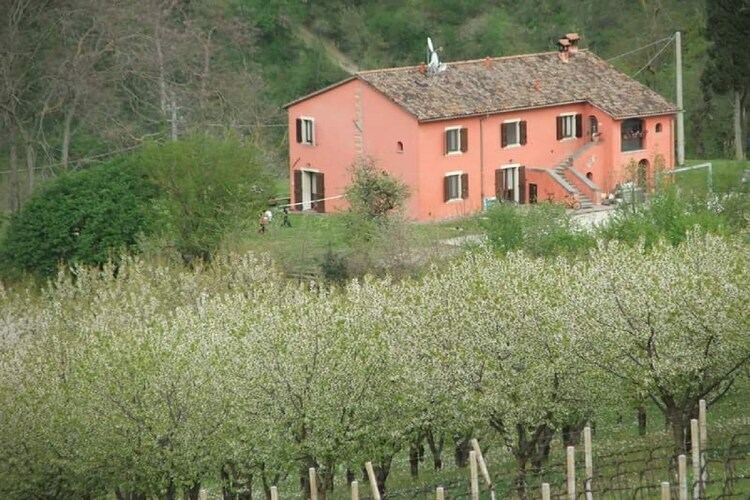 Maison Yassine en Romagne : 4 pers., nature et vignobles - Photo 9