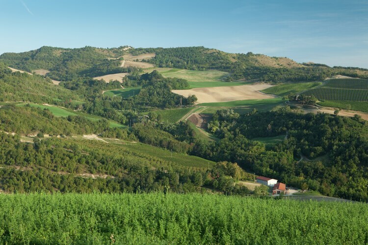 Maison Yassine en Romagne : 4 pers., nature et vignobles - Photo 20