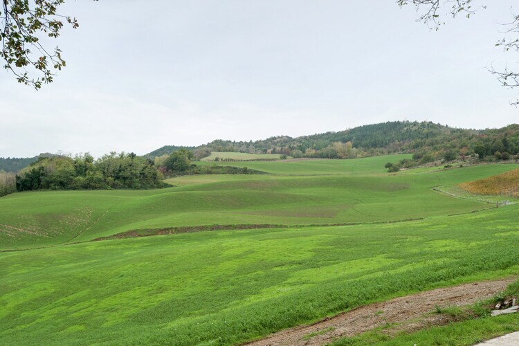 Maison Yassine en Romagne : 4 pers., nature et vignobles - Photo 21