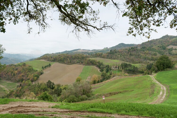 Maison Yassine en Romagne : 4 pers., nature et vignobles - Photo 25