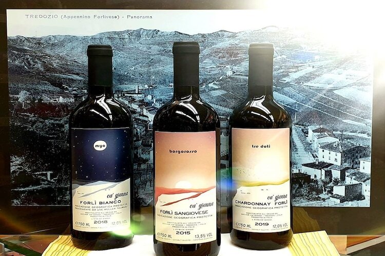 Maison Yassine en Romagne : 4 pers., nature et vignobles - Photo 29