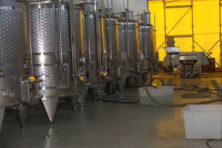 Maison Yassine en Romagne : 4 pers., nature et vignobles - Photo 30