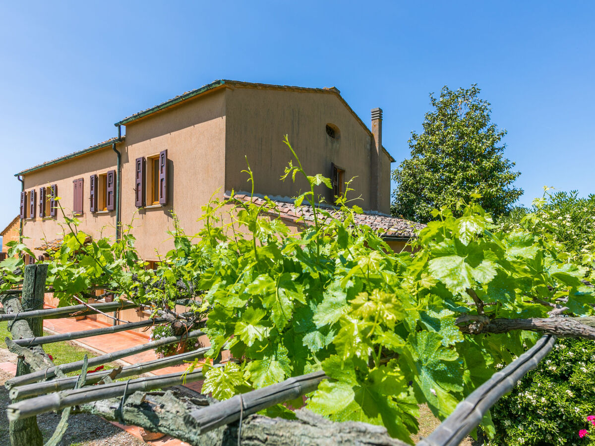 Podere Santa Lucia – Maison 5 chambres avec piscine - Photo 79