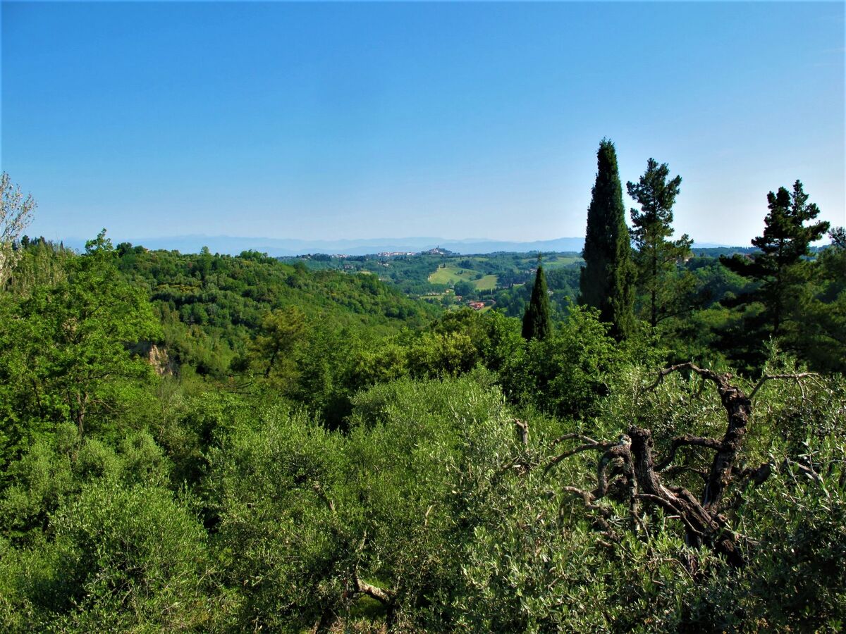Maison Lisena avec piscine privée à San Miniato - Photo 38