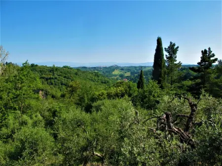 Maison Lisena avec piscine privée à San Miniato : photo 38