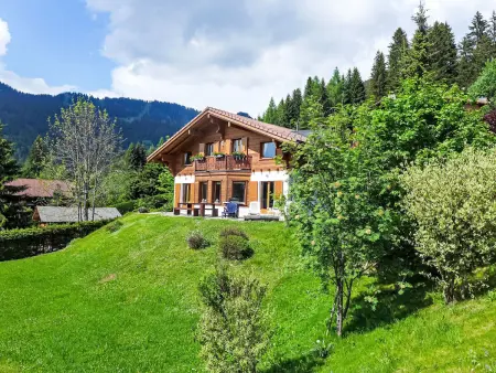 Chalet Petit Pont, Chalet 10 personnes à Villars - Photo 39