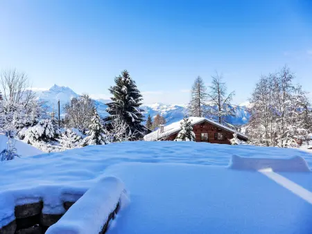 Chalet Petit Pont, Chalet 10 personnes à Villars - Photo 45