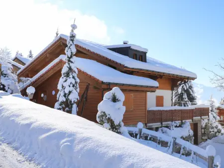 Chalet Petit Pont, Chalet 10 personnes à Villars - Photo 50