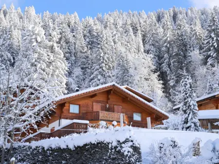 Chalet Petit Pont, Chalet 10 personnes à Villars - Photo 52