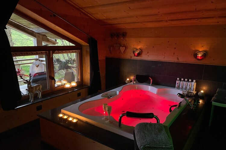 La Linotte : gîte avec spa privatif à Saint-Hubert - Photo 25