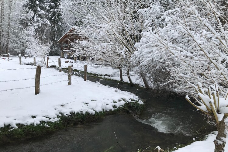 La Linotte : gîte avec spa privatif à Saint-Hubert - Photo 29