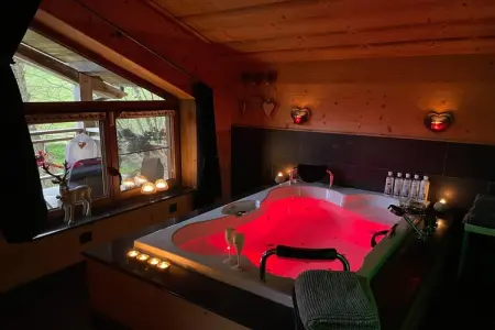 La Linotte : gîte avec spa privatif à Saint-Hubert : photo 25