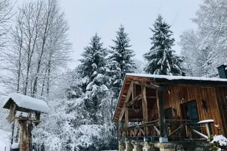 La Linotte : gîte avec spa privatif à Saint-Hubert : photo 27
