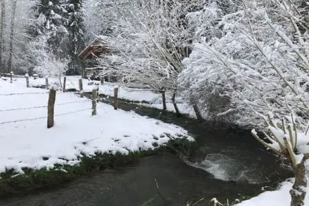 La Linotte : gîte avec spa privatif à Saint-Hubert : photo 29