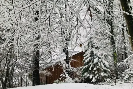 La Linotte : gîte avec spa privatif à Saint-Hubert : photo 30