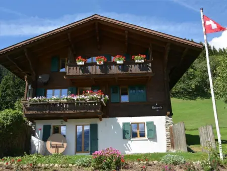 Location appartement à Gstaad, Rehweid (2. Stock) Appartement/Fewo, Dusche oder Bad, WC 5-Bettwohnung