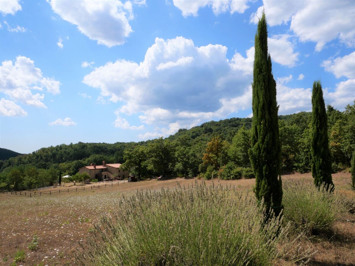 Pian dei Carpini - Chiara, gîte 1 chambre à Prata - Photo 13