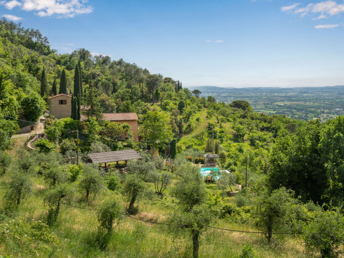 La Felcaia, maison 6 pers. avec piscine à Castiglion Fiorentino - Photo 36