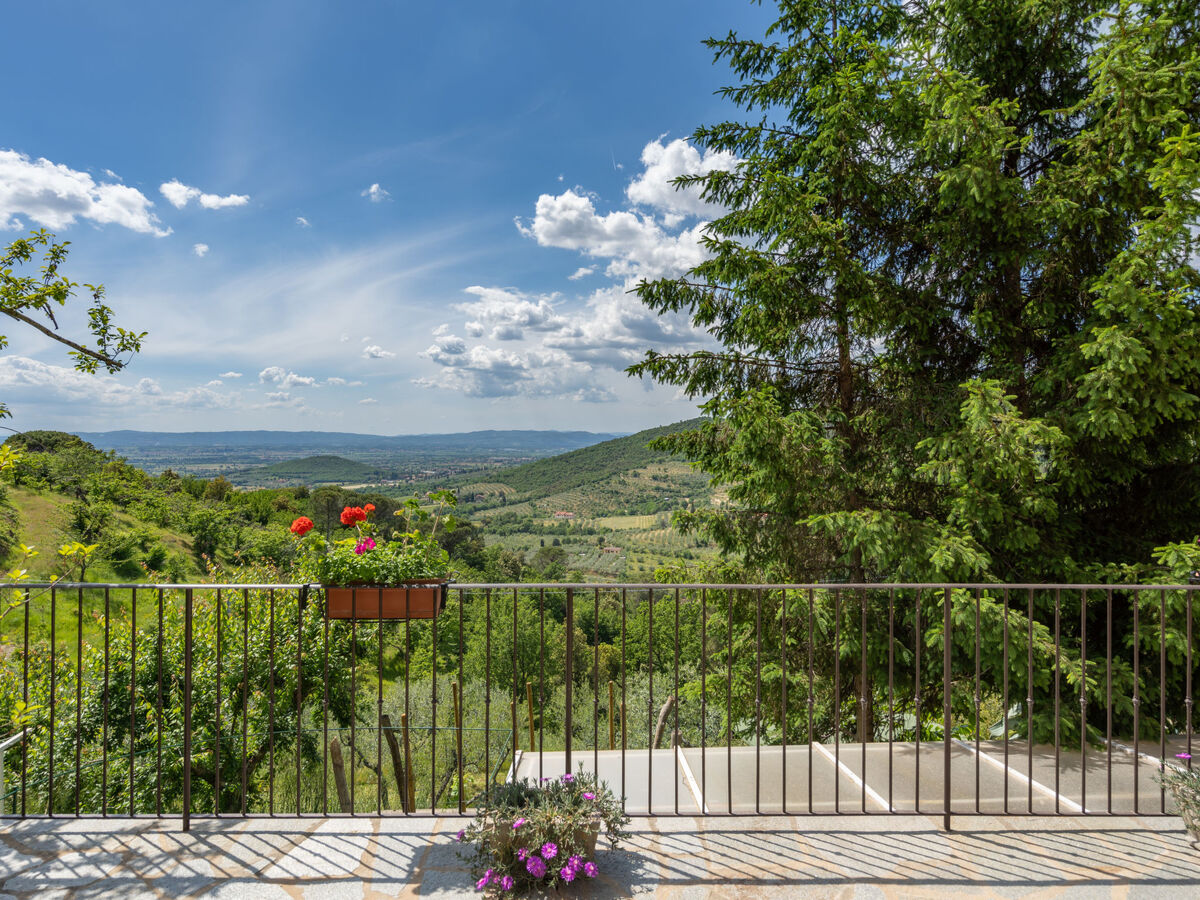 La Felcaia, maison 6 pers. avec piscine à Castiglion Fiorentino - Photo 38