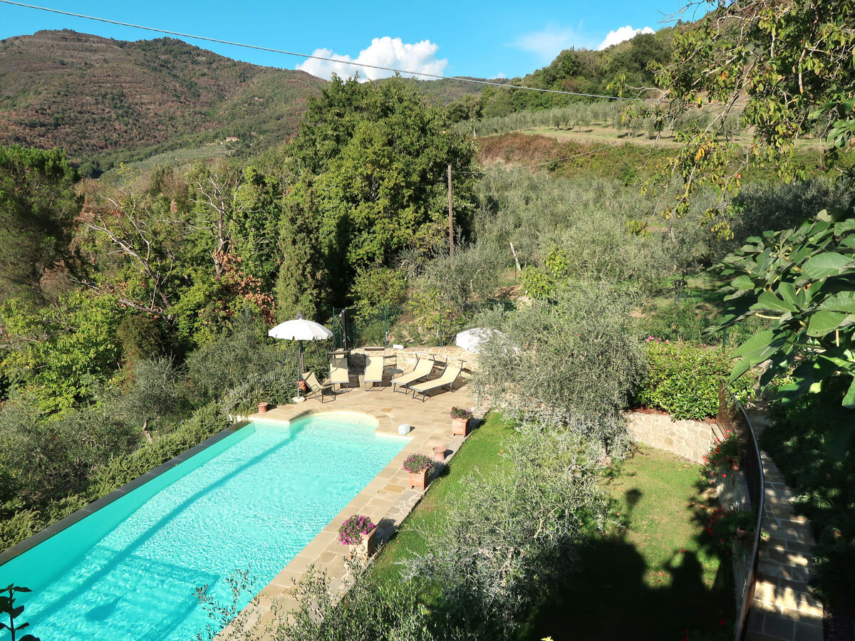 La Felcaia, maison 6 pers. avec piscine à Castiglion Fiorentino - Photo 41