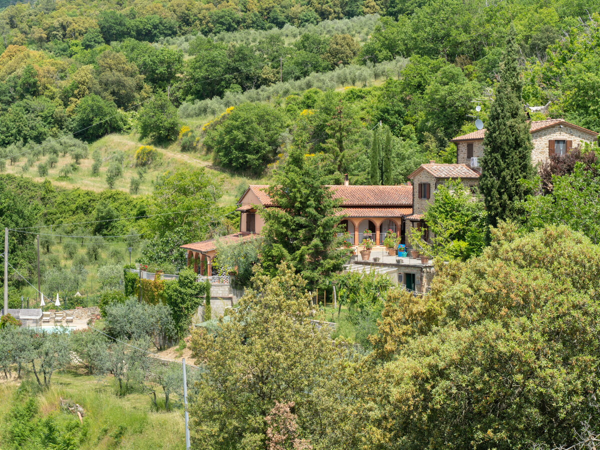 La Felcaia, maison 6 pers. avec piscine à Castiglion Fiorentino - Photo 43