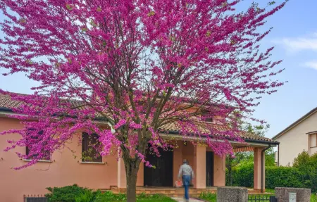 Location appartement de vacances à San Pietro di Feletto