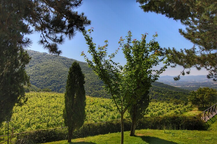 Caprifoglia – Ferme 6 pers. avec piscine à Loro Ciuffenna - Photo 40