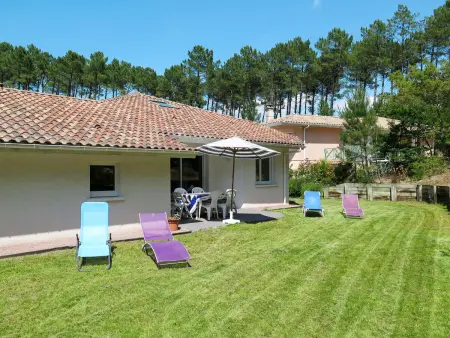 Le Moïsan, maison 6 pers. à 2 km de la plage : photo 21
