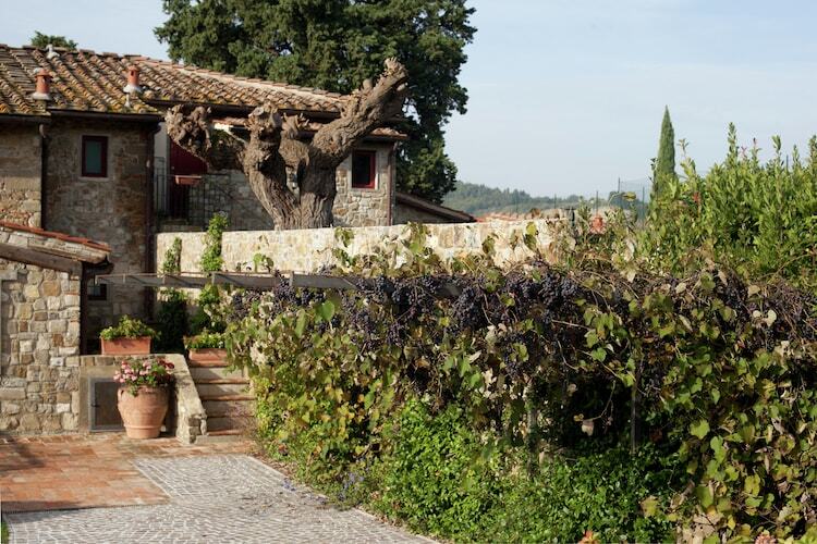 Primrose, maison 4 pers. en Toscane avec jardin privé - Photo 14