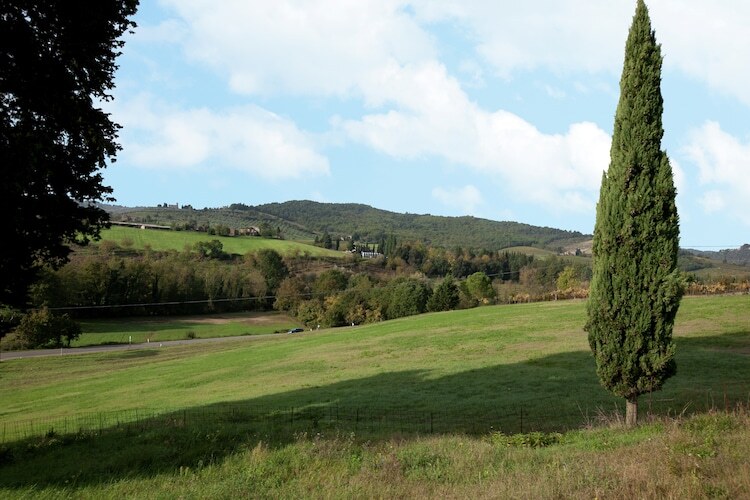 Primrose, maison 4 pers. en Toscane avec jardin privé - Photo 34