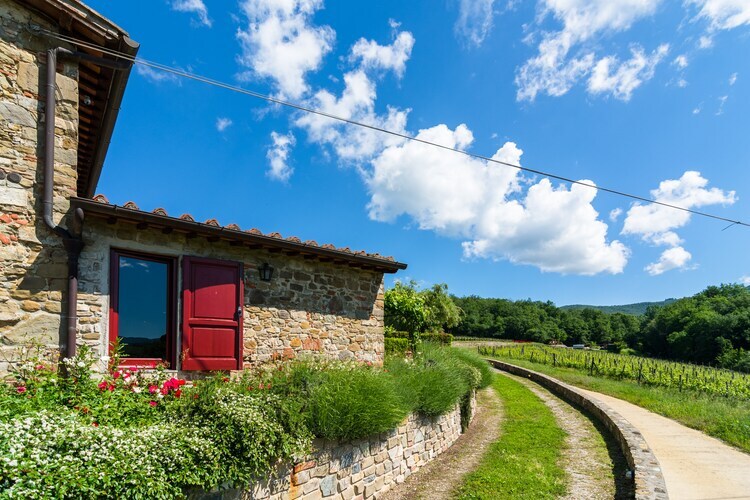 Primrose, maison 4 pers. en Toscane avec jardin privé - Photo 35