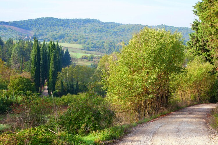 Primrose, maison 4 pers. en Toscane avec jardin privé - Photo 37