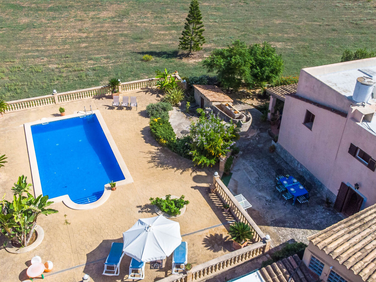 Can Josepot – Maison 6 pers. avec piscine à Alcúdia - Photo 5