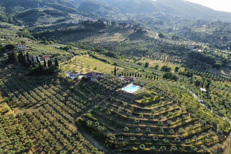 La Casa dei Cinque Olivi, gîte en ferme toscane - Photo 41