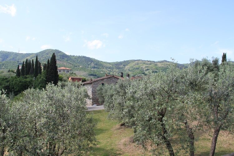 La Casa dei Due Olivi, gîte en ferme toscane - Photo 25