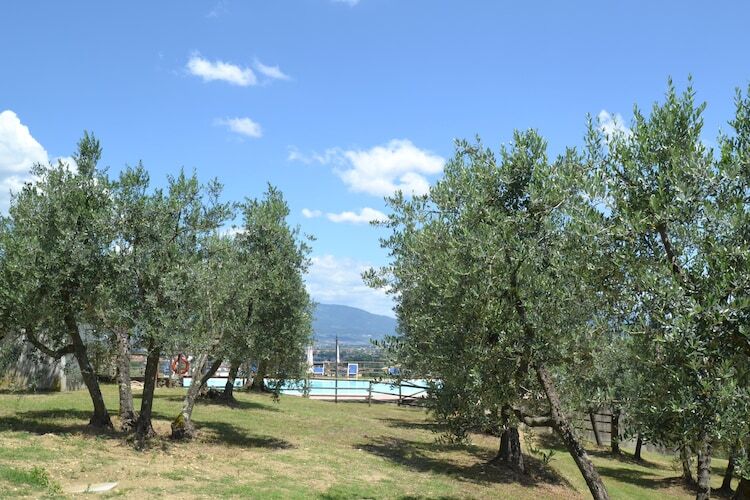 La Casa dei Due Olivi, gîte en ferme toscane - Photo 27