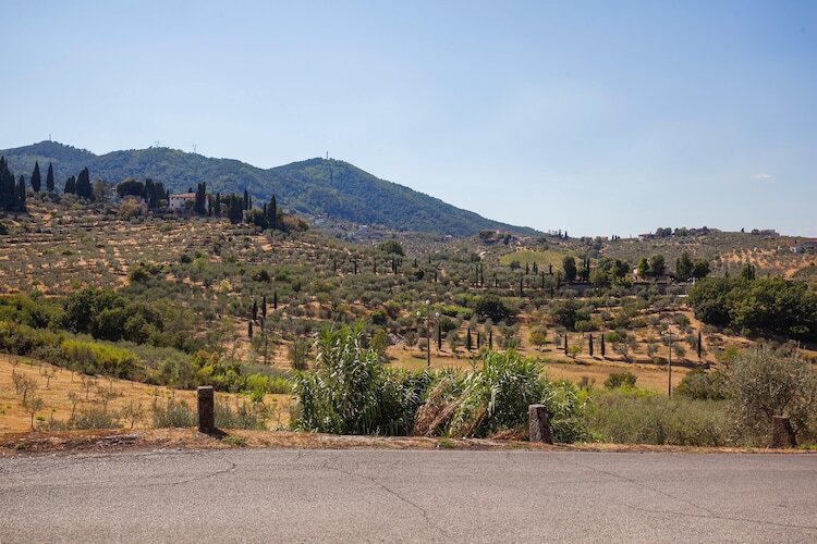 La Casa dei Due Olivi, gîte en ferme toscane - Photo 35