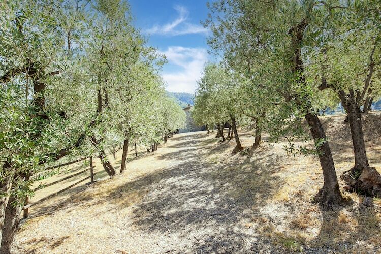 La Casa dei Due Olivi, gîte en ferme toscane - Photo 38
