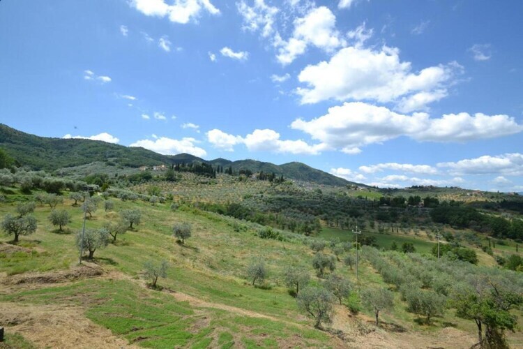 La Casa dei Due Olivi, gîte en ferme toscane - Photo 40